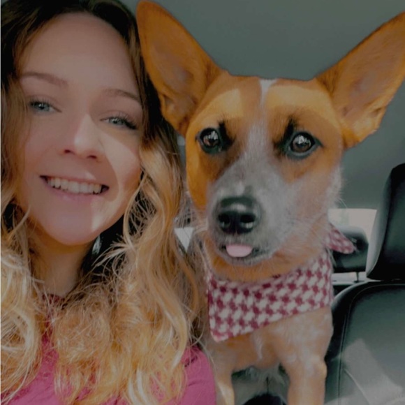 Pop up tonight - Picture 2 of 12